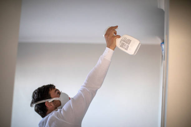 Best Residential Mold Removal  in Vaeboro, NC