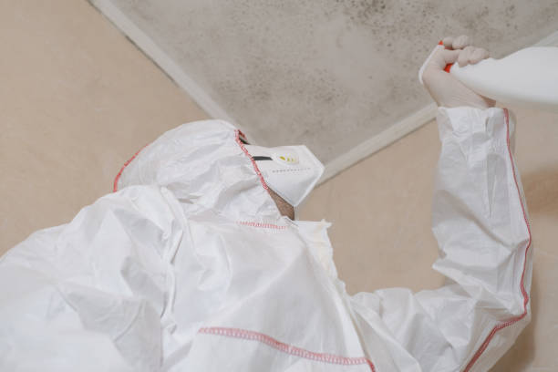 Best Affordable Mold Removal  in Vaeboro, NC